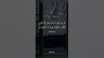 الآية 23 من سورة الملك 💛🌻 #القرآن_الكريم #المصحف #راحة_نفسية