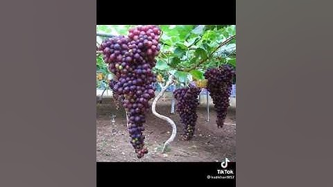 اللهم اجعل القرآن الكريم ربيع قلوبنا ونور صدورنا و ذهب حزننا و الفرج الهم والحزن