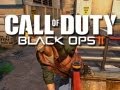 Black ops 2 funny moments montage glitched land dolphin and toaster violence