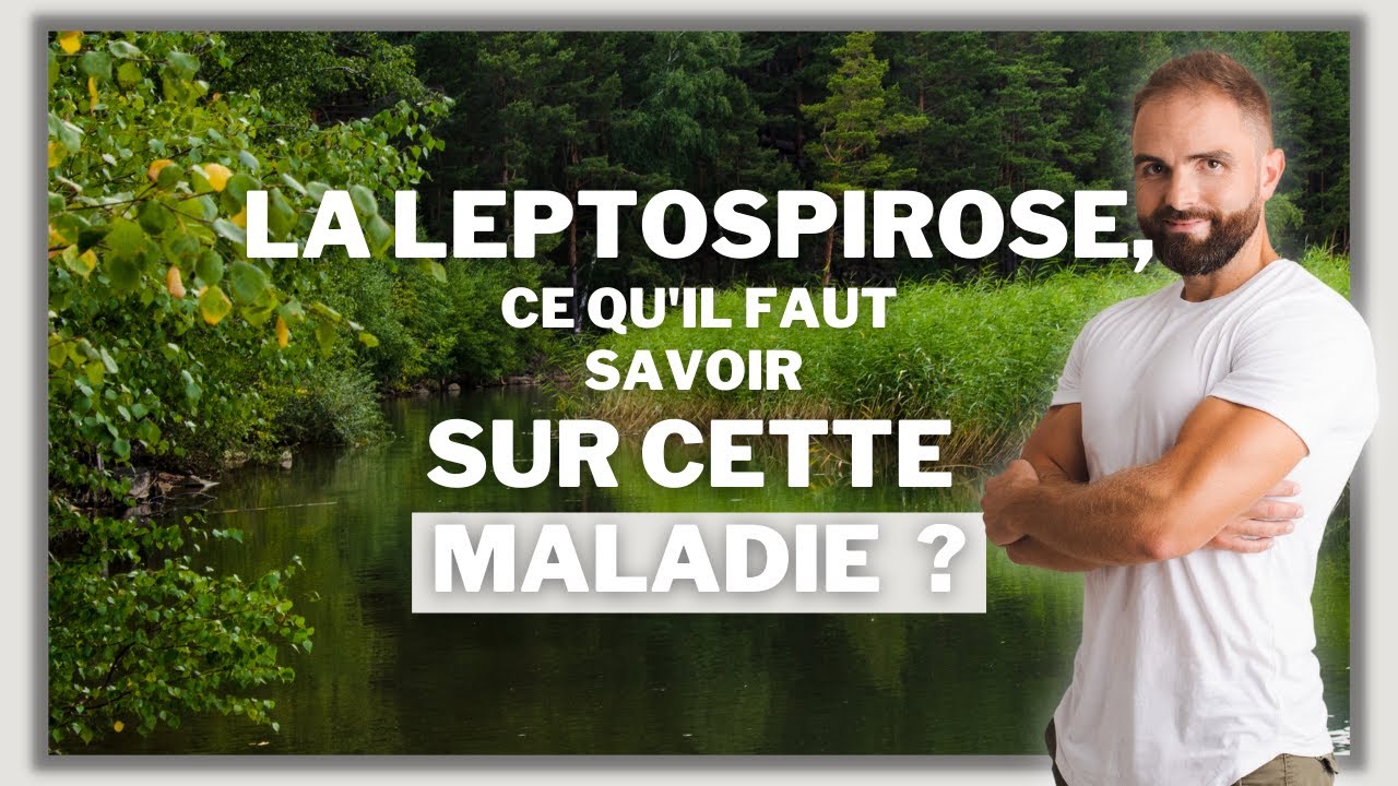 La Leptospirose : ce qu'il faut savoir sur cette maladie