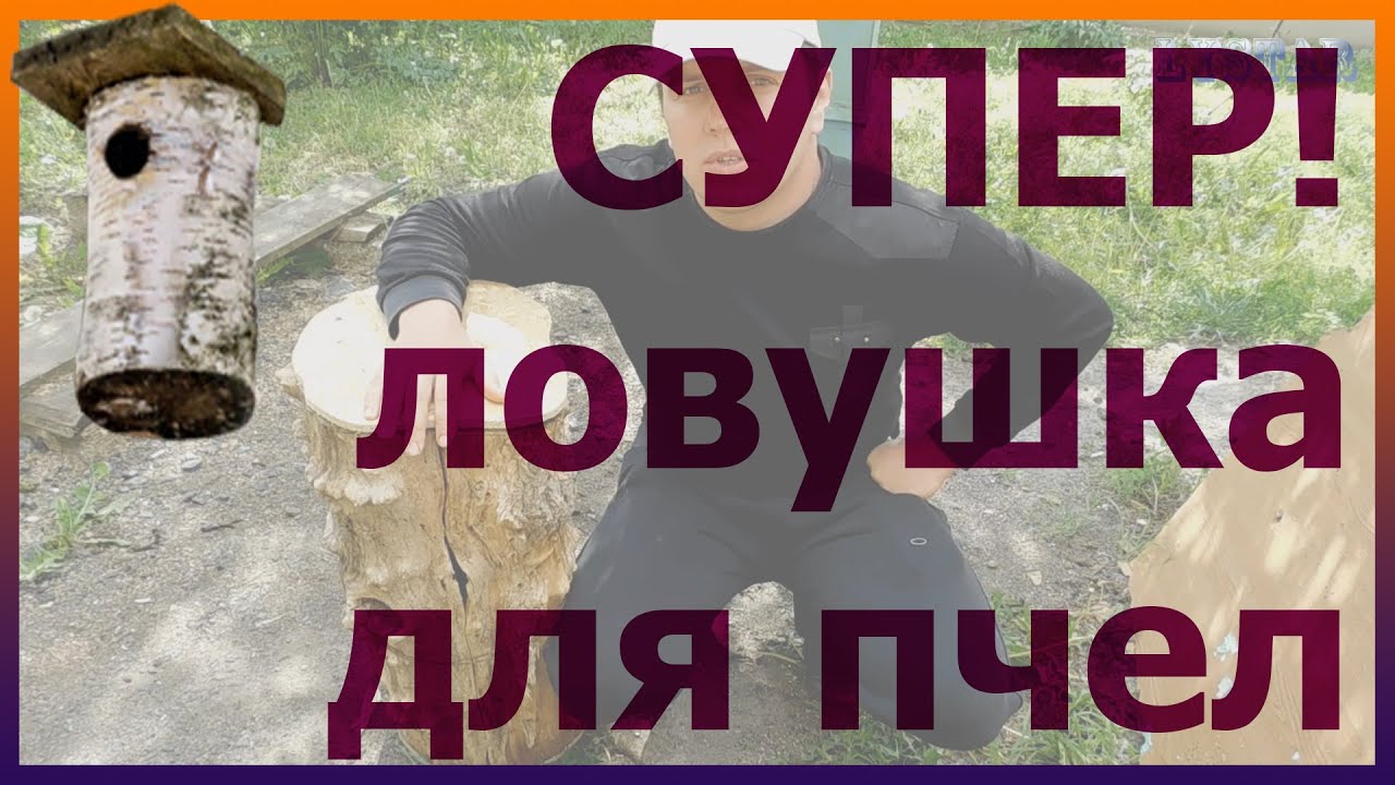 Ловушка для пчел видео Ловушка для пчел видео