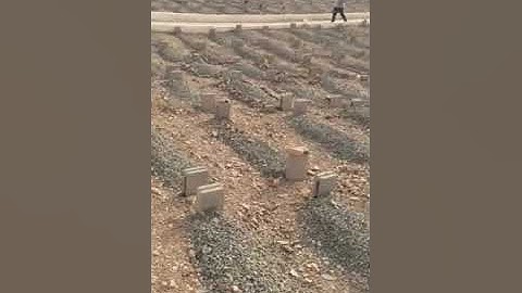 جنازة الشيح القارئ محمود فرج عبدالجليل