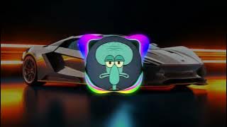 KUCING GARONG TERBARU 2025