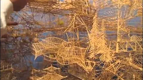 Incredibly Patient Artist Uses 100,000 Toothpicks to Create Amazing San Francisco Sculpture