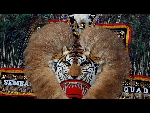 Hebat Banget Lurr ‼️ Aksi 2 Solah Keren Pol Barongan Reog Saling Menujukan Skillnya