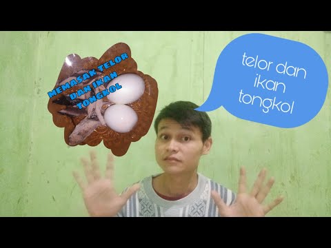 cara-memasak-telor-dan-ikan-tongkol