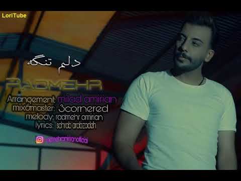 آهنگ زیبا و شندینی دلم تنگه با صدای رادمهر امیریان