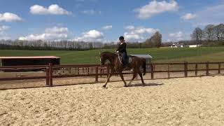 8B1C38De C671 4C5A 9Daa Dd518B65E831