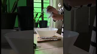 Remedios Para Aliviar Lo Enchilado De Las Manos.