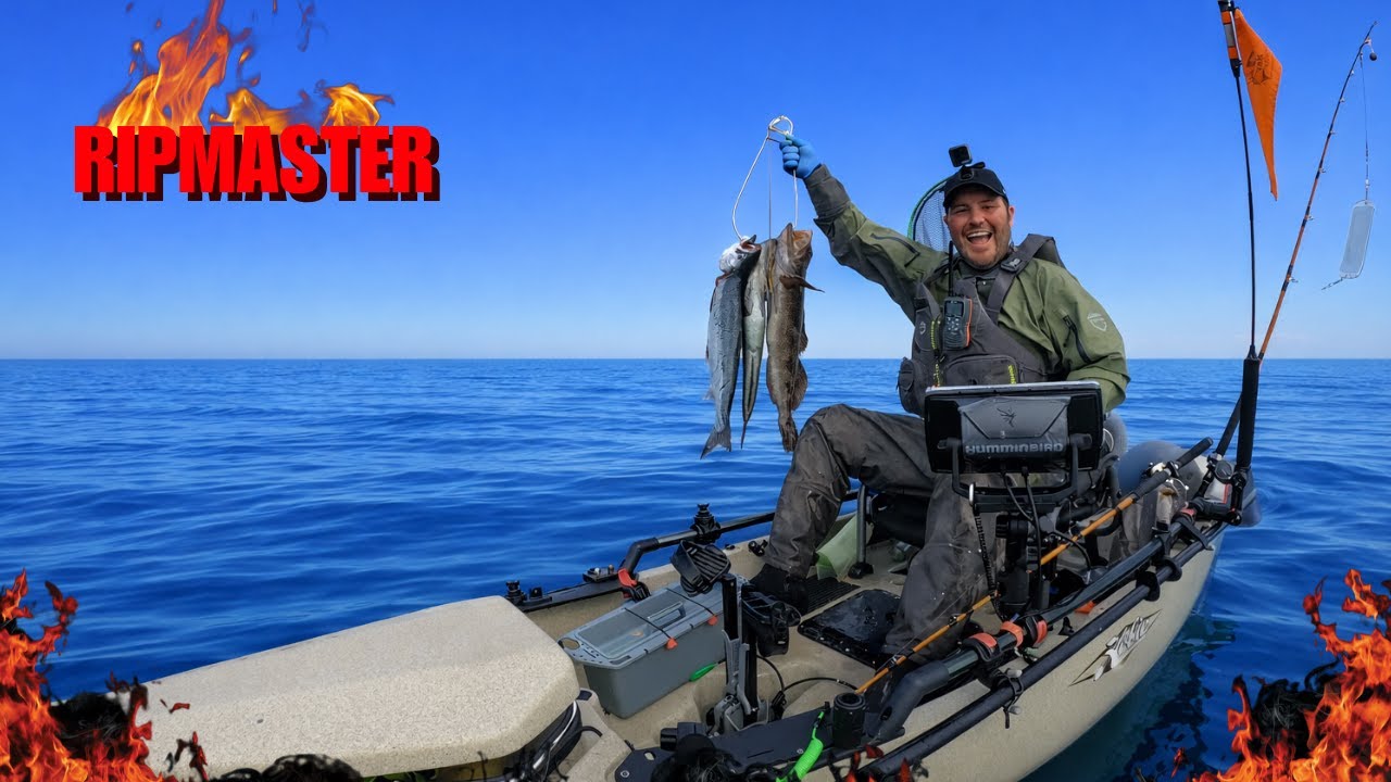 Coho Salmon by Kayak + Lingcod Limits | Makah Bay Washington