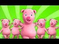 ห้า Piggies น้อย | เพลงสำหรับเด็กเล็ก | เด็กสัมผัส | Five Little Piggies | Preschool Song For Kids