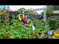 A Day In My Life As A Small Organic Farmer 🌱 Harvest &amp; Simple Living