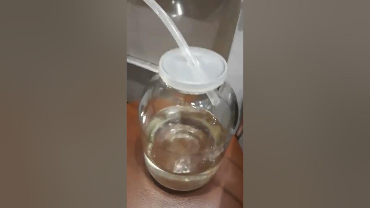ШОК! Джин на Вейн 6 это невозможно! Неудачный опыт😔 - YouTube