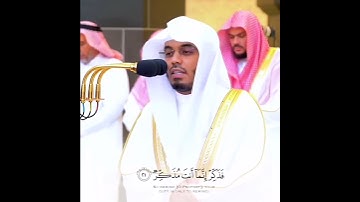 "أفلا ينظرون إلى الإبل كيف خُلقت"#سورة_الغاشية #ياسر_الدوسري #اكسبلور