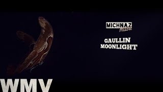 GAULLIN - MOONLIGHT [MUSIC VIDEO]