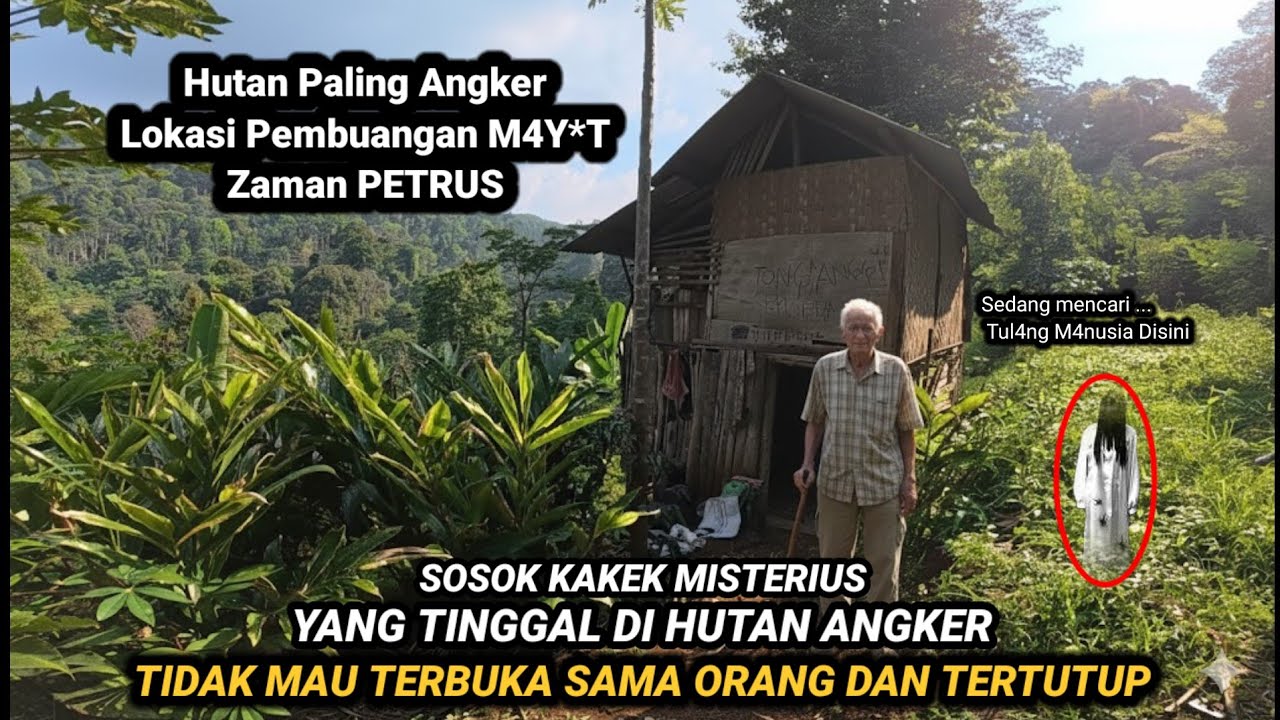 INIMAH HUTAN SEREM!! MUSTAHIL ADA ORANG TINGGAL DI DALAM HUTAN PALING ANGKER DI JAWA BARAT