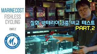 질화 박테리아 3종 비교테스트 - 피쉬리스 사이클링 - 파트2 (20200607)