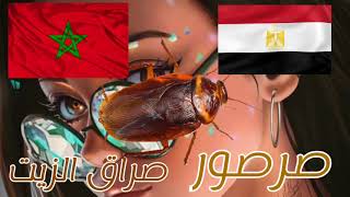 تحدي اللهجه المصريه ضد المغربية NS The Egyptian dialect challenge against the Moroccan#tocaboca#toca