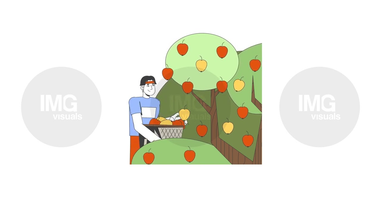 Korean male farmer harvesting apples in orchard 2D character animation