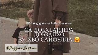 Сайфулла Дала декъал войл хьо