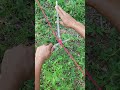 Decompression grade rope spiral winding skills