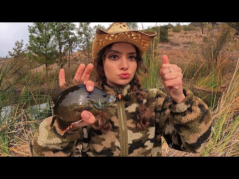 Fishing & How to Overcome Fear of Rejection - YouTube