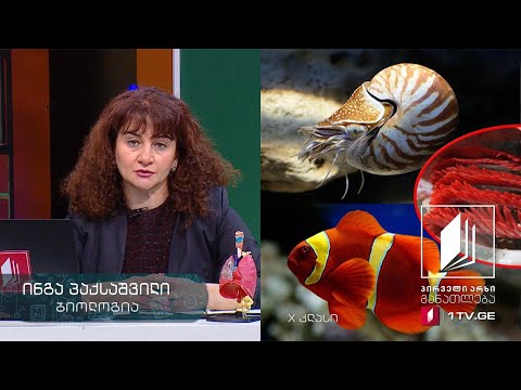 ბიოლოგია, X კლასი - აირთა ცვლა ცხოველებში #ტელესკოლა