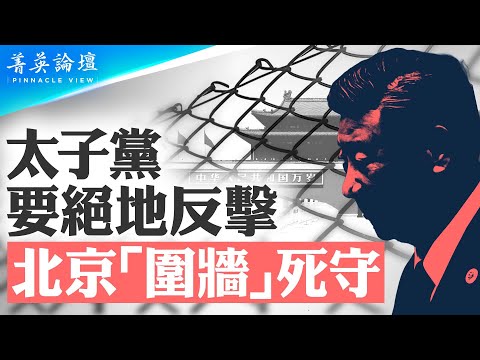 国产苗不过关，谁来背锅？10年反腐只是前菜，金融反腐才是大戏，要动太子党奶酪，习面临最危局，中共内斗最高潮将至【菁英论坛 】