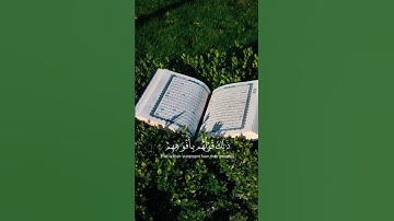 محمد اللحيدان سورة التوبة