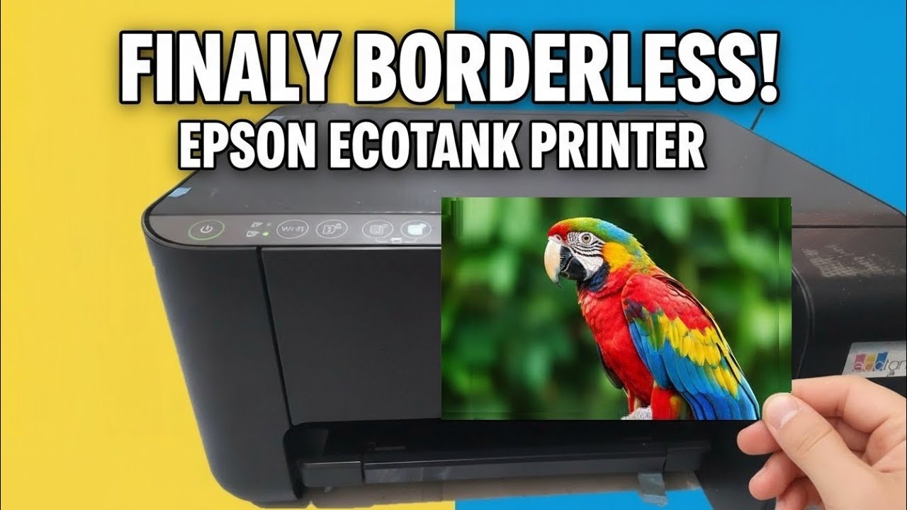 STILL PRINTING WITH BORDERS? Borderless Epson Printer Photo Step-by ...