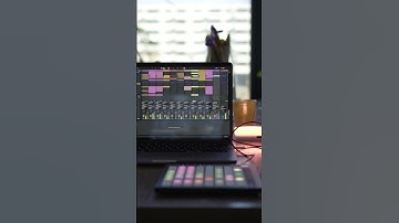 Sketch for a house track #dubtechno #electronicmusic