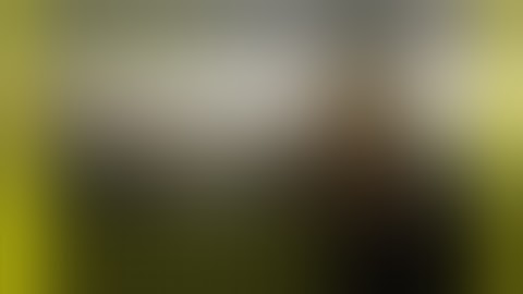 Cyberpunk 2077 — Lifepaths