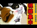 【世界の終わりに柴犬と】切り抜き編集 # 106《ご主人推薦(?)『猫集』。》今日は猫の日》 #世界の終わりに柴犬と #アニメ #柴犬