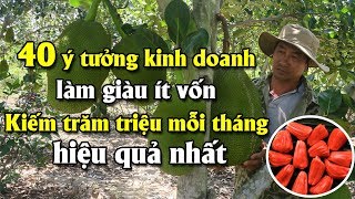 5 mô hình làm giàu ít vốn hiệu quả mà bạn không nên bỏ qua