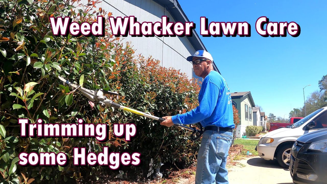 Trimming up some Hedges - YouTube