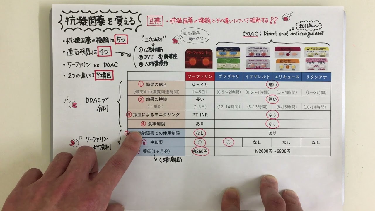 【ゆる〜い講義ビデオ】抗凝固薬を覚える！