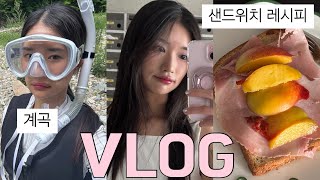 브이로그)엄마랑 데이트하고 간장게장 먹기!복숭아샌드위치 레시피,그리고 친구들과 계곡에 다녀온 일상(야식으로 닭발,혼자카페,소금빵 맛집,한달만에 먹는 마라탕)