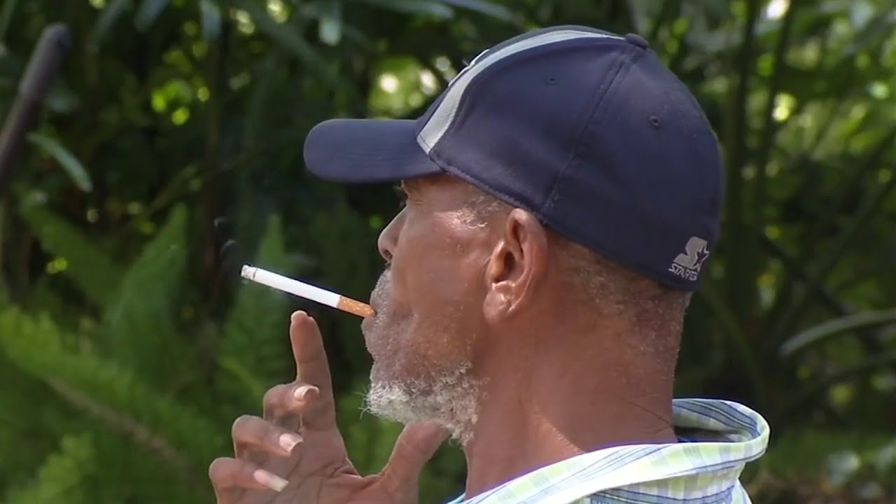 como fumar vape sin toser Alcaldía de Guatavita | 🚨 ¡ALERTA! CUIDADO CON EL VAPER 🚭 El vapeo  también pone en riesgo tu salud y la de tu familia La Alcaldía Municipal de  Guatavita, bajo el
