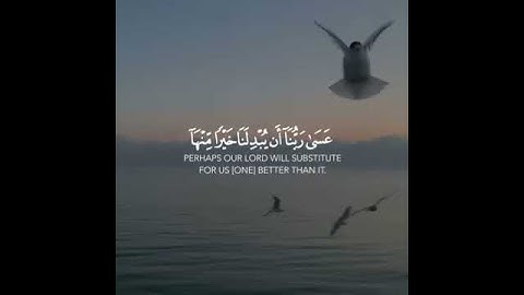 عسى ربنا أن يبدلنا خيرا منها إنا إلى ربنا راغبون اسلام صبحي سورة القلم حالات واتس اب بصوت جميل