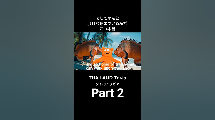 (Part 2)Thailand Trivia Song! Must-Know Fun Facts Before Your Trip | Learn with DonDoko Donta