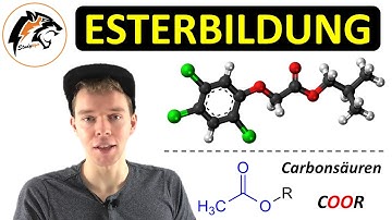 ESTERBILDUNG – (Reaktionsmechanismus + Saure Esterhydrolyse) | Chemie Tutorial