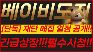 🔴베이비도지, [단독]재단 매집 일정 공개!!🔥긴급상장!! 필수시청!!