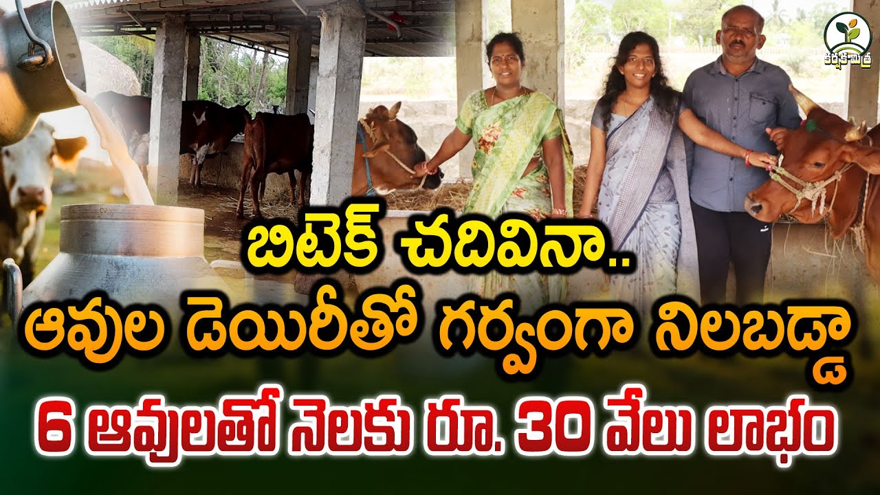 పాడి పరిశ్రమలో రాణిస్తున్న యువ మహిళా ఇంజనీర్| Women Ingineer Success Story in Dairy | Karshaka Mitra