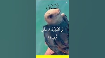 #سبحان_الله #اذكار_المساء #اذكار_الصباح #ايات_من_القران #اكسبلور
