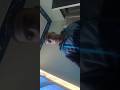 مليون سلامه لكل صاحب مش جدع مليون سلامه لكل صاحب مش جدع