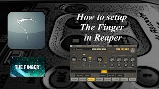 Native Instruments The Finger Setup for Reaper