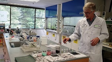 Nano One (NNO.V) - Agnostic production process