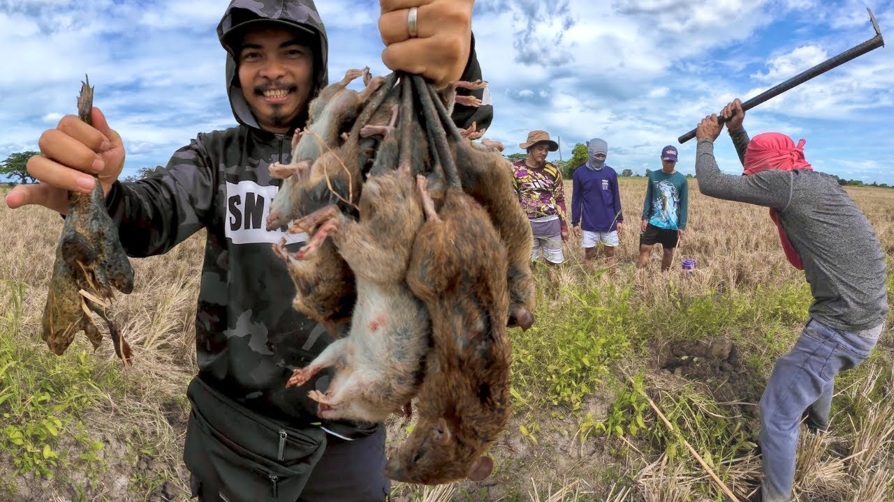 Dagang bukid na pang PULUTAN | Y5E44