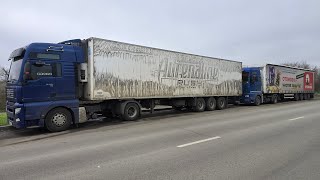 Цыплята доехали глухими) Утеплили  Сергеевича!