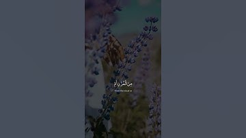 ﴿أَفَرَأَيْتُمُ الْمَاءَ الَّذِي تَشْرَبُونَ﴾ القارئ احمد النفيس